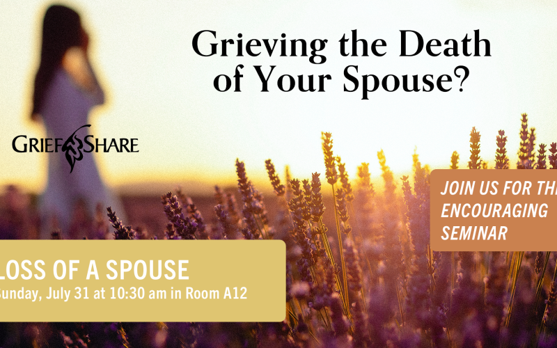 Griefshare_Loss of a Spouse Graphic 2