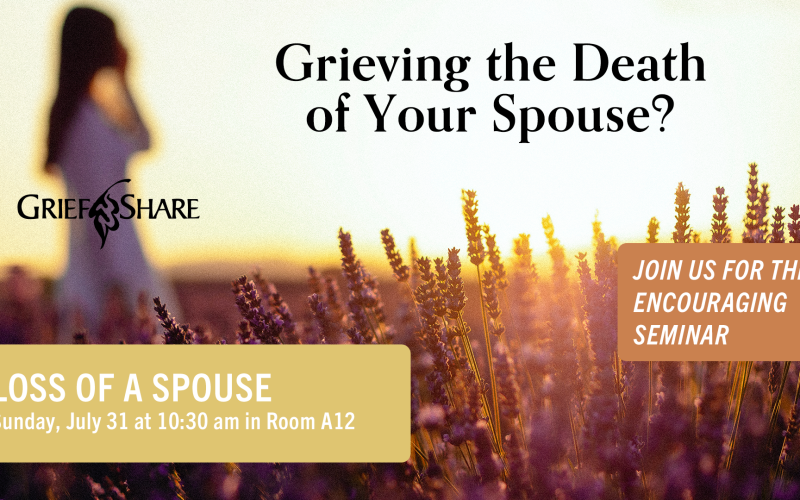Griefshare_Loss of a Spouse Graphic 2 Griefshare_Loss of a Spouse Graphic 2